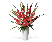 Glorious Gladioli!, picture