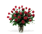 Two Dozen Red Roses, picture
