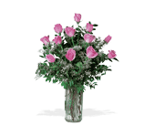 A Dozen Pink Roses, picture