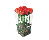 Orange Roses with River Rocks, picture