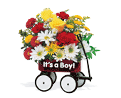 Teleflora's Baby's First Wagon, picture