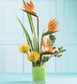 The FTD� Tropical Bright� Arrangement