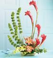 The FTD� Touch of Tropics� Arrangement