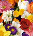 The FTD� Florist Designed� Bouquet