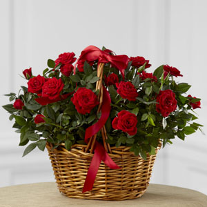 The FTD� Mini Rose