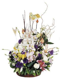 Seasonal Arrangement