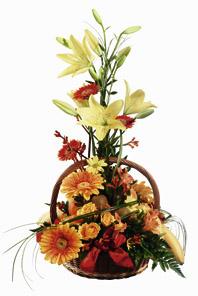 Fruit and Flower Basket