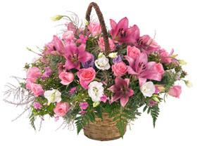 Arrangement in Pink