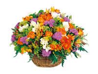 Arrangement of Cut Flowers