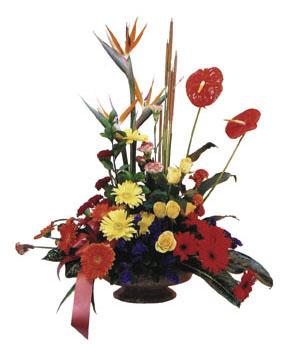 Arrangement of Mixed Cut Flowers