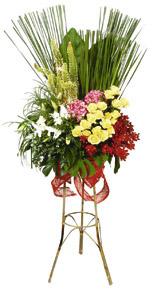 Standing Arrangement