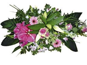 Arrangement of Cut Flowers