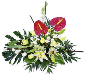 Arrangement of Cut Flowers