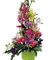 Arrangement of Mixed Cut Flowers