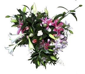 Bouquet of Mixed Cut Flowers