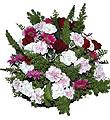 Arrangement of Cut Flowers