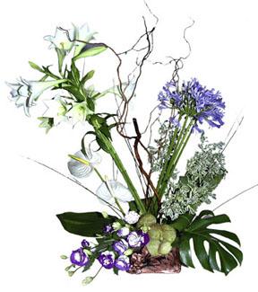 Arrangement of Cut Flowers