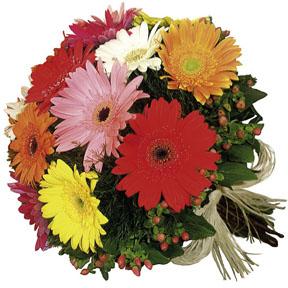 The FTD� Gerbera Bouquet