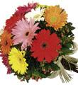 The FTD� Gerbera Bouquet