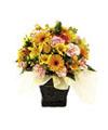 Seasonal Arrangement yellow & orange