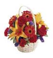 The FTD� Fun in the Sun� Basket