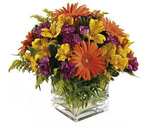 The FTD� Wonderful Wishes� Bouquet