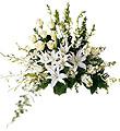 The FTD� Light In Your Honor� Arrangement