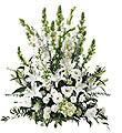 The FTD� Morning Stars � Arrangement