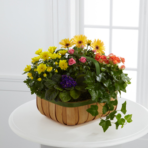 The FTD� Gentle Blossoms� Basket