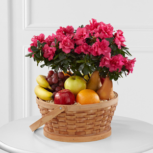 The FTD� Encircling Grace� Fruit & Plant Basket