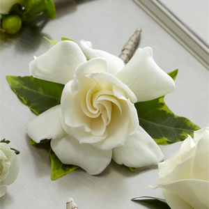 The FTD� Gardenia Boutonniere